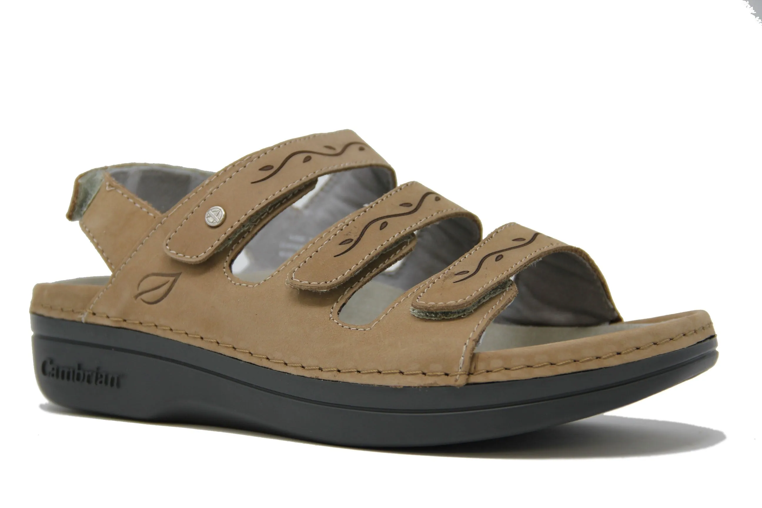 Delphi 3 - Taupe (W)