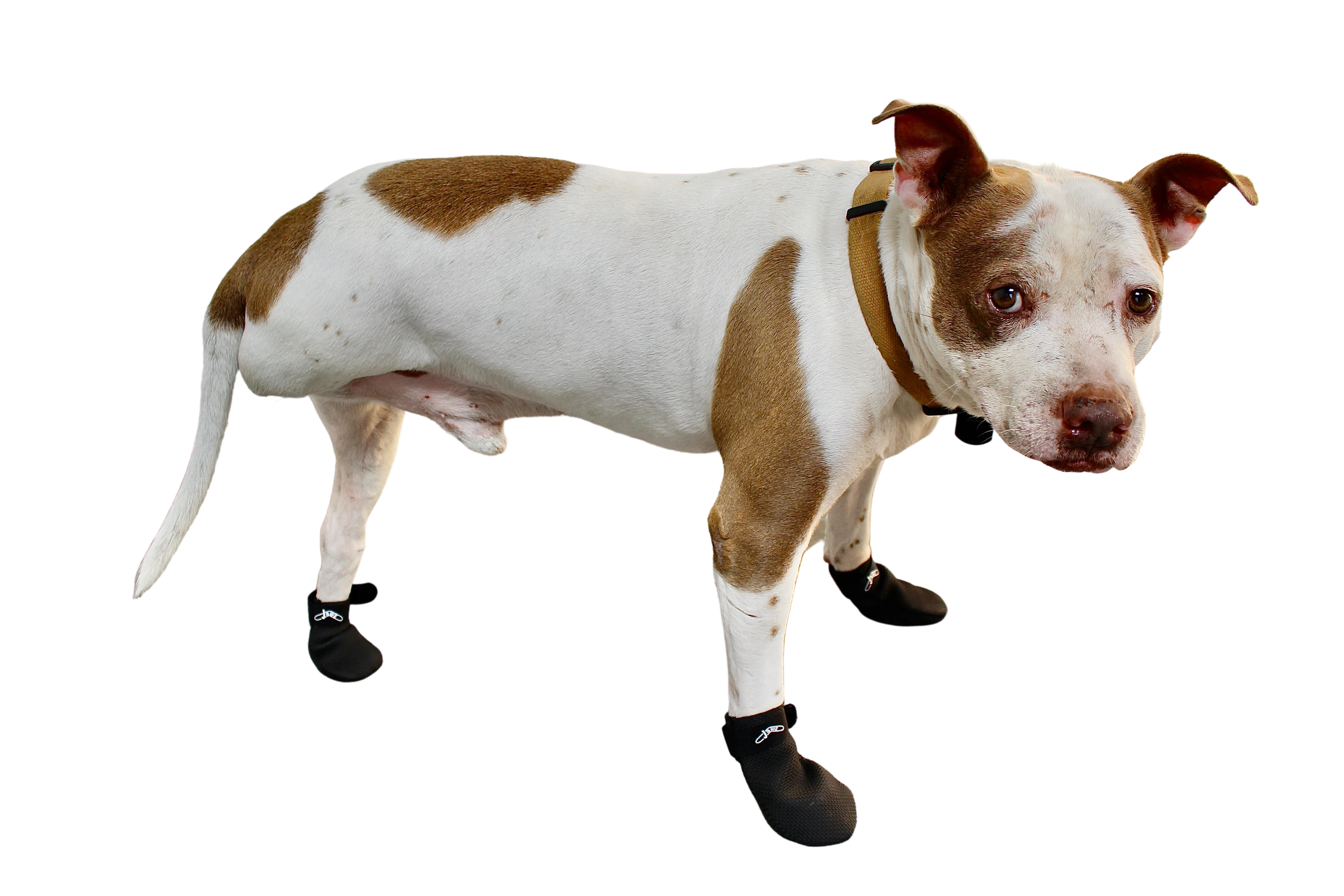 JAWZ Traction Booties